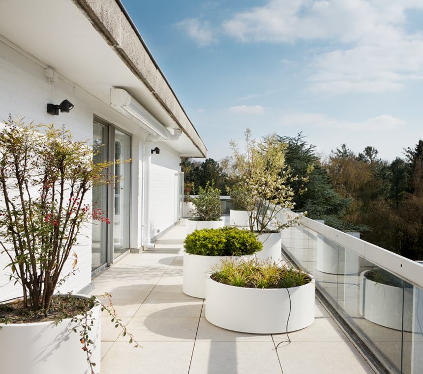 langeveld-65 - Christophe Ternest